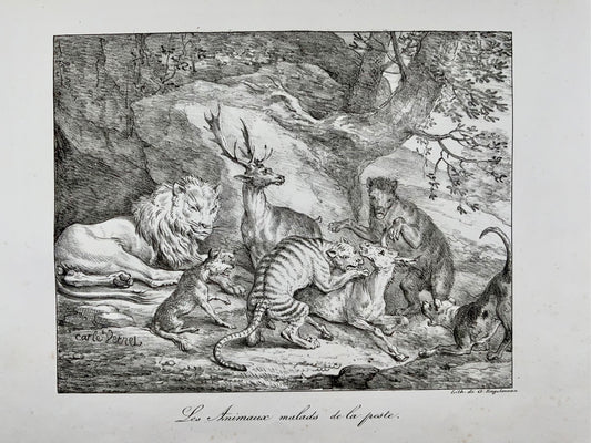 1818 'Incunaboli della litografia' Carle Vernet, G. Engelmann, Bestiario, Leone