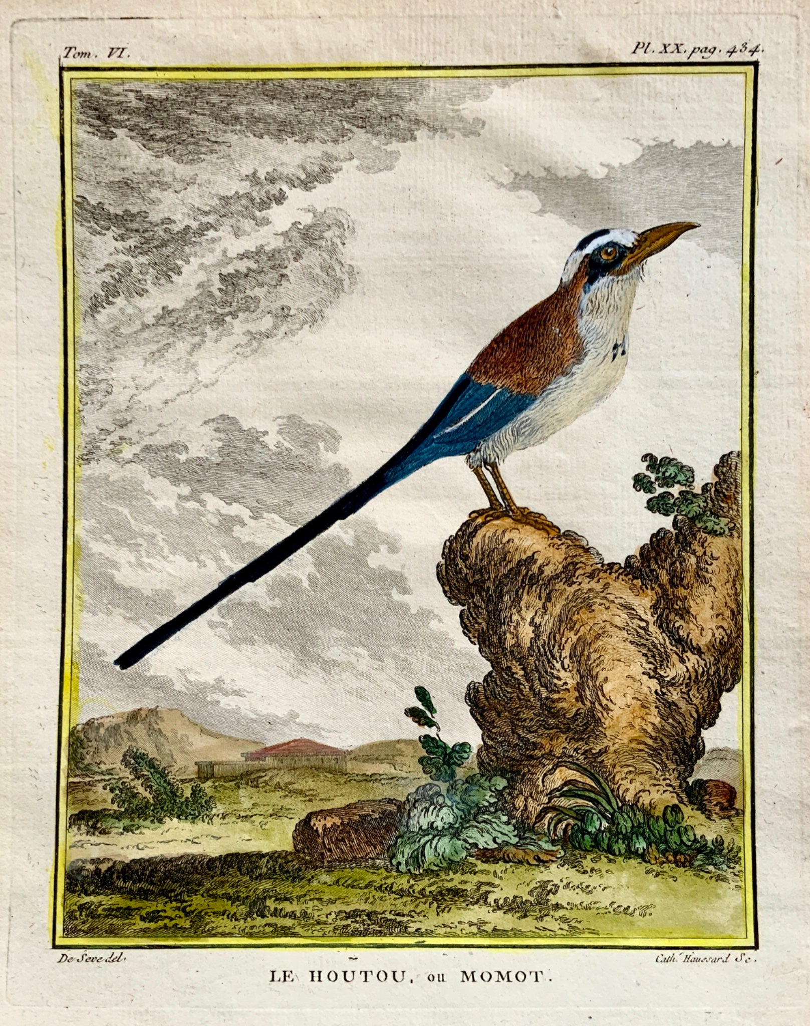 1779 Haussard after Jacques de Seve - Le Houtou ou Momot Bird- 4to engraving