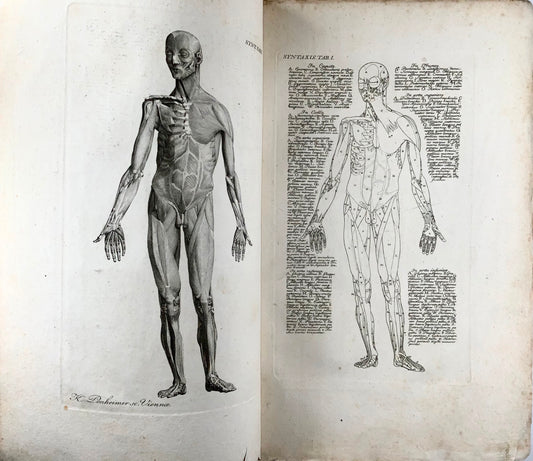 1819 J. Barth, Anfangsgründe der Muskellehre, foglio, 61 incisioni su rame, medicina, libro, anatomia
