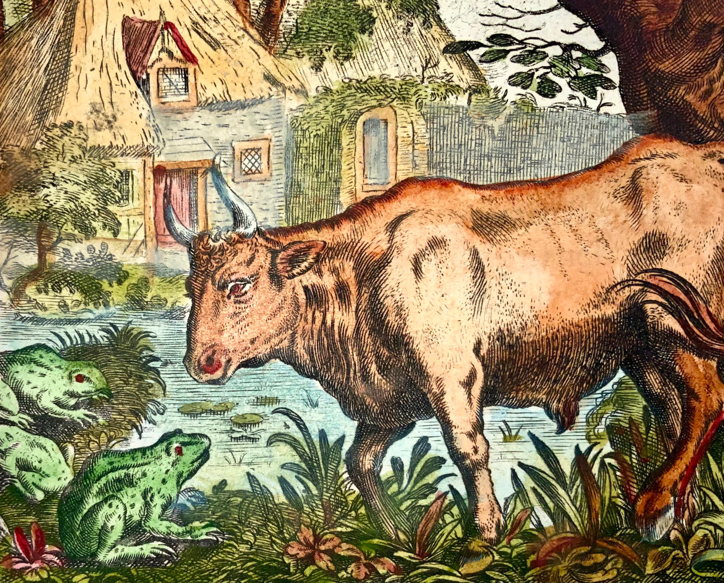 1617 Marcus Geerhaerts, favola, il toro e le rane, colorata a mano, incisione