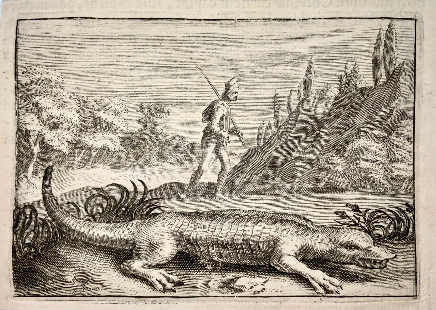 1618 Coccodrillo, "un giovane diffidente", Crispin van de Passe II, emblema, rettile