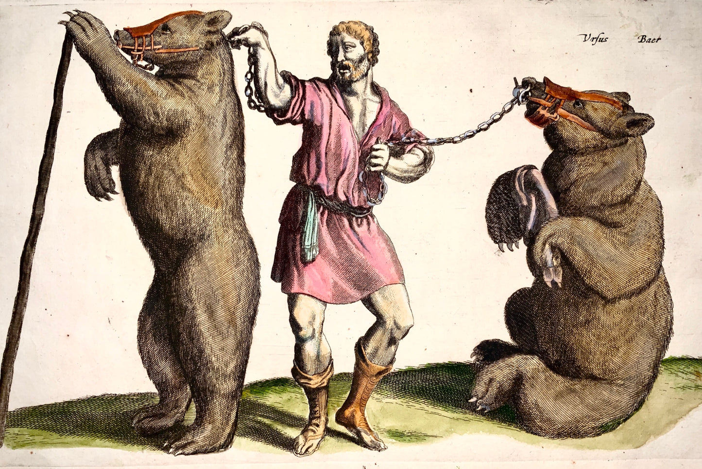 1657 Matthäus Merian - Swiss DANCING BEARS - Folio hand coloured engraving - Mammals