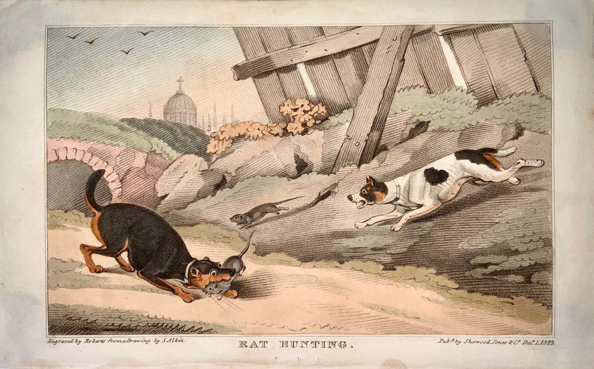 1823 Sherwood after Alken - RAT HUNTING - hand coloured aquatint
