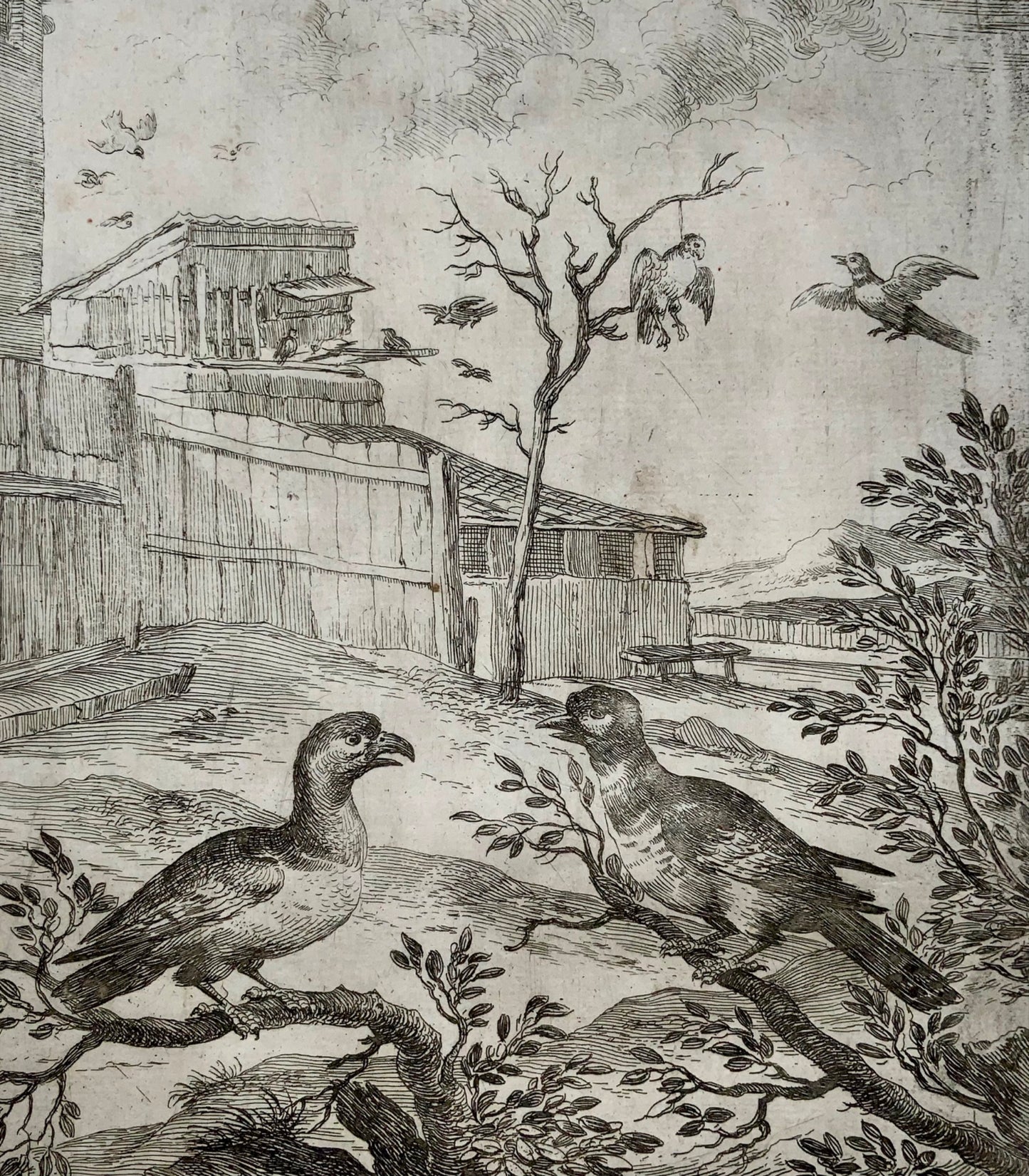 1666 Wenceslaus Hollar (1607-1677), Hawk & Nightingale, Aesop, master engraving, classical art