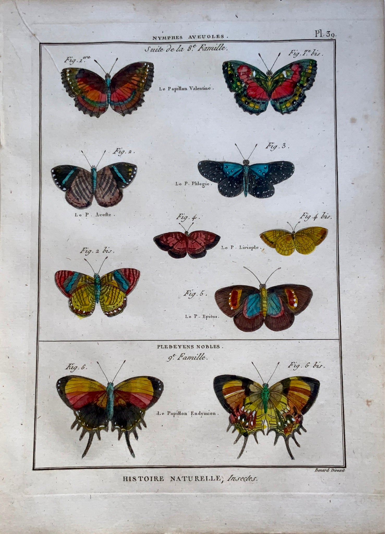 1794 Latreille; Handcol quarto copper engraving Butterflies ‘Nymphes Aveugles’