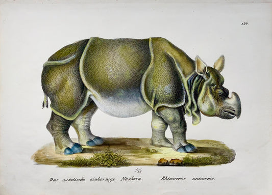 1824 Rinoceronte, Brodtmann, foglio, litografia su pietra, mammifero