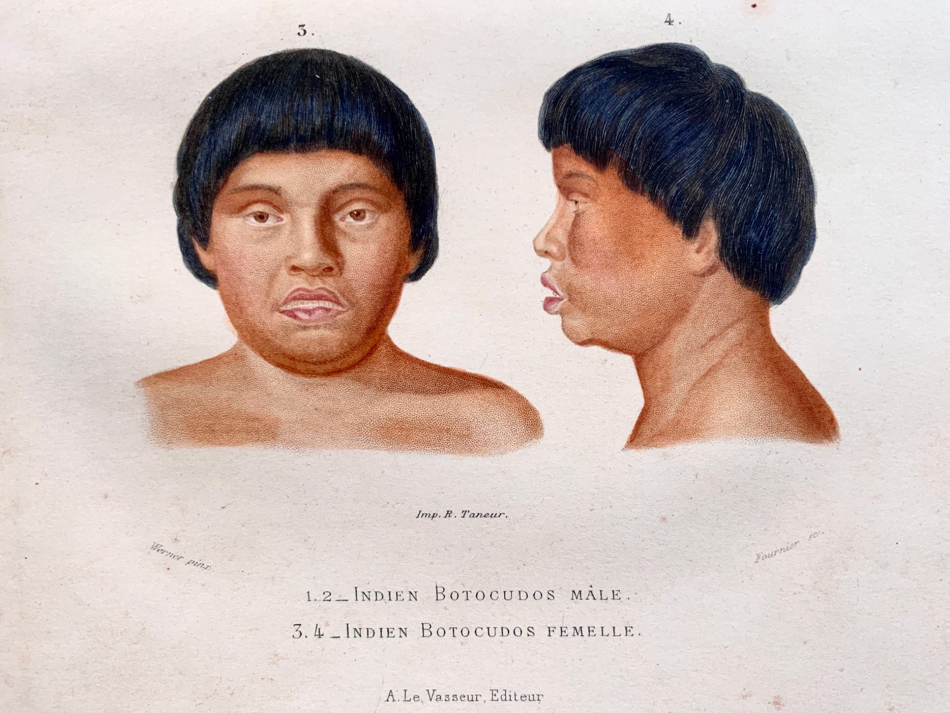 1849 Fournier after Werner - Botocudo Indians - original hand colour - Ethnology
