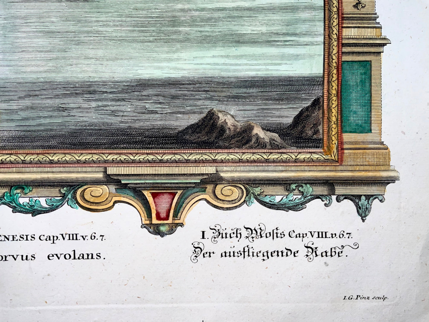 1735 Arche de Noé, corbeau, JJ Scheuchzer, gravure biblique, folio, coloré à la main