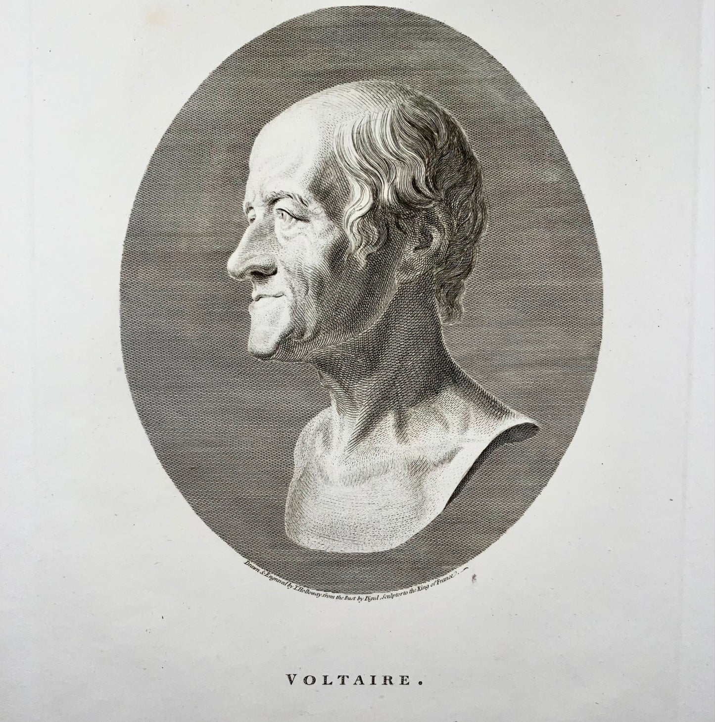 1778 VOLTAIRE fin portrait gravé in-folio de Thomas Holloway