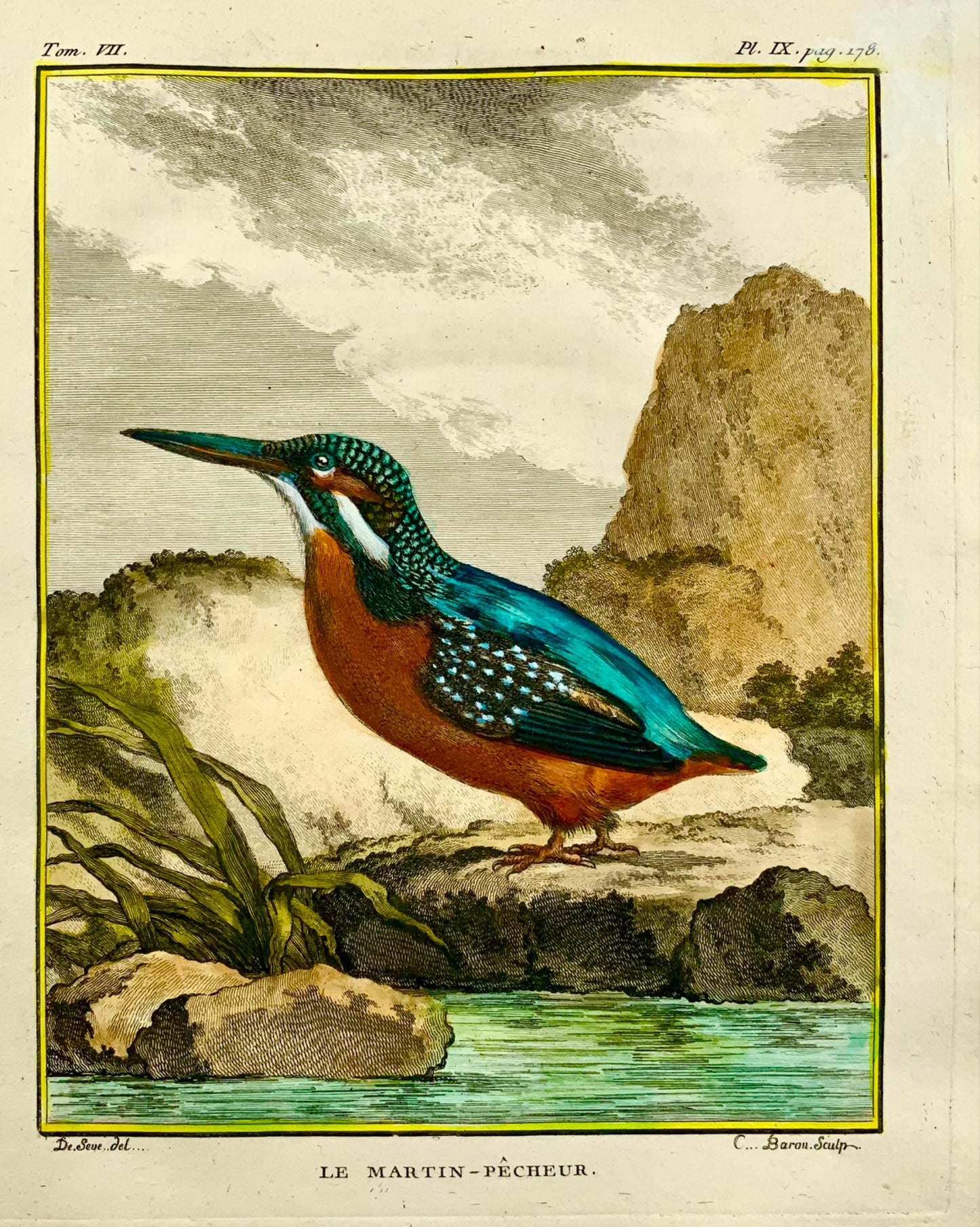 1775 Martin-pêcheur, fine gravure sur cuivre colorée à la main, Ornithologie