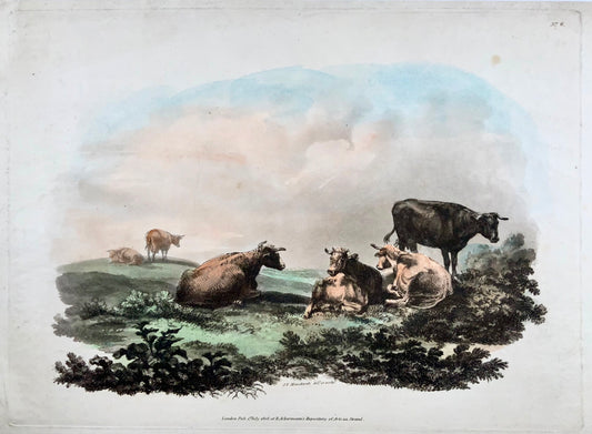 1808 JF Manskirsh, Bétail au pâturage, Grande aquatinte colorée à la main, Agriculture