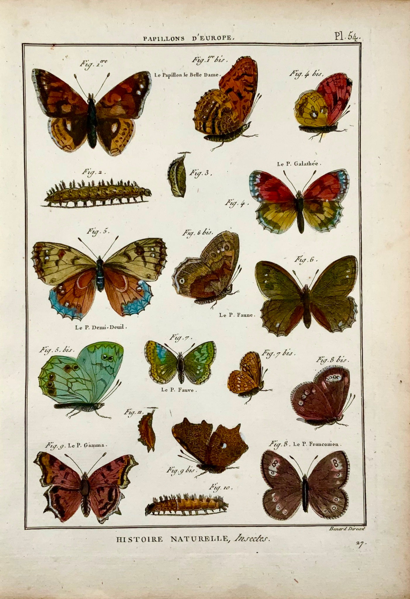 1794 Farfalle europee (II), Latreille, incisione in quarto colorata a mano