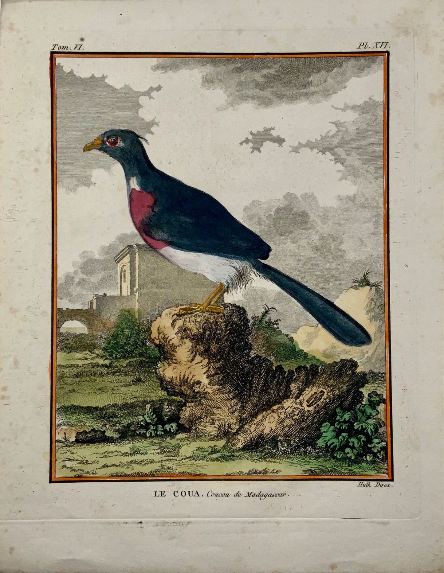 1779 de Seve; Hulk - Madagascar CUCKOO - Ornithology - 4to Large Edn engraving