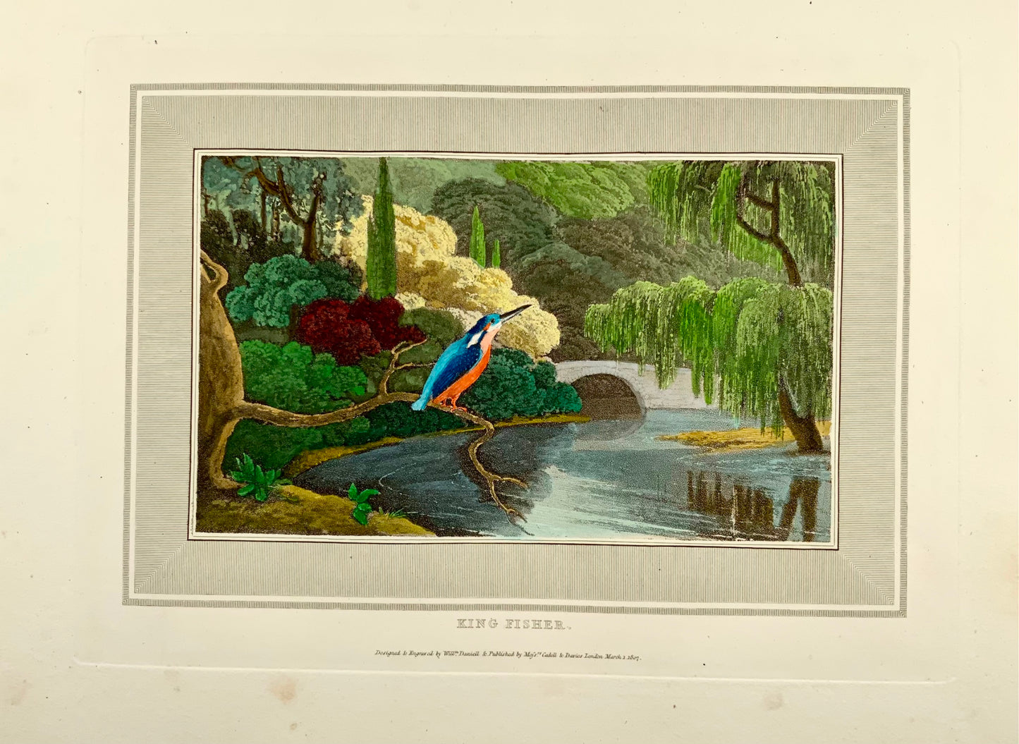 1807 William Daniell, Martin pescatore, ornitologia, acquatinta colorata a mano