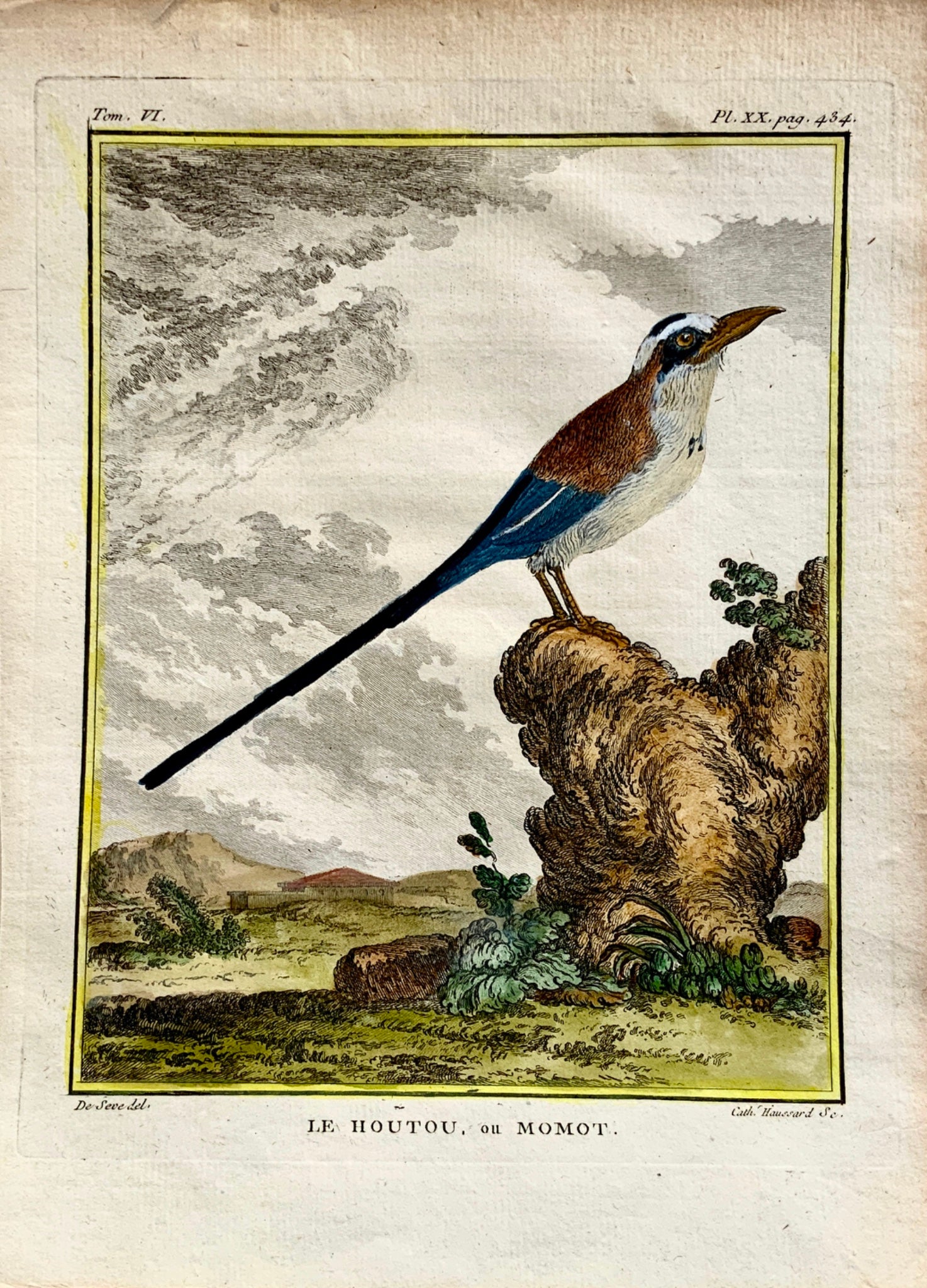 1779 Haussard after Jacques de Seve - Le Houtou ou Momot Bird- 4to engraving