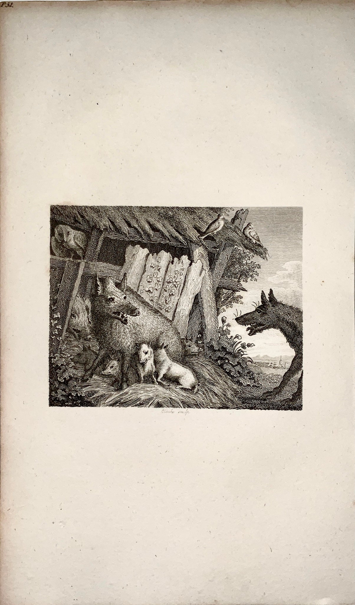1780 c. Clarke, sculp. - The Sow and the Wolf - copper engraving - Fable, Aesop
