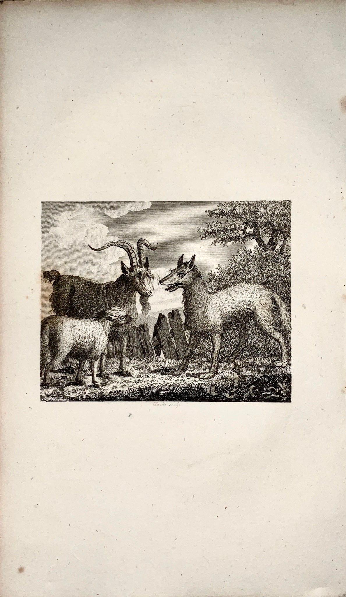 1780 c. Clarke, sculp. - The Wolf, Lamb & the Goat - copper engraving - Fable, Aesop