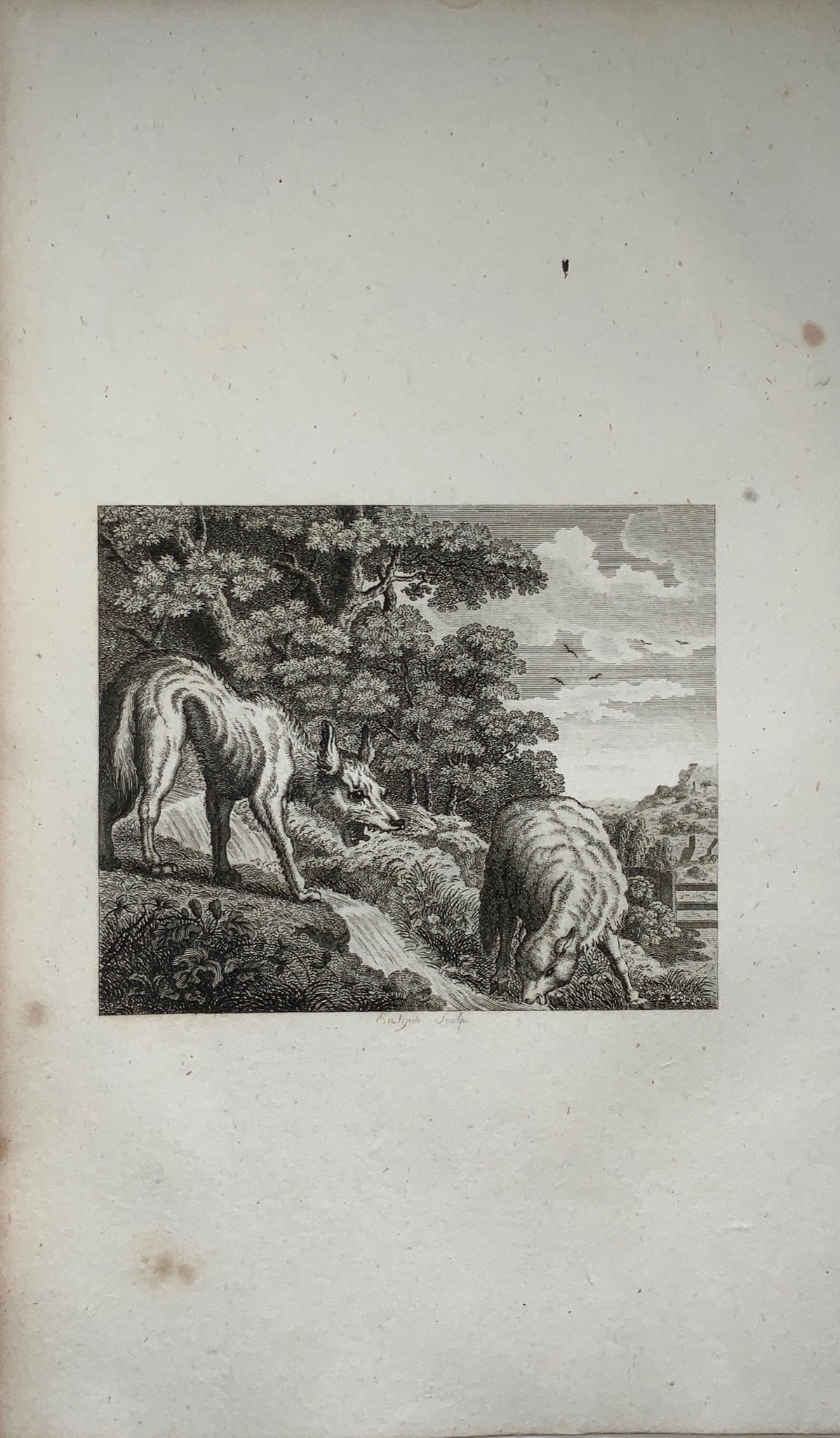 1780 c. John Eastgate, sculp. - Wolf & the Lamb - copper engraving - Zoology