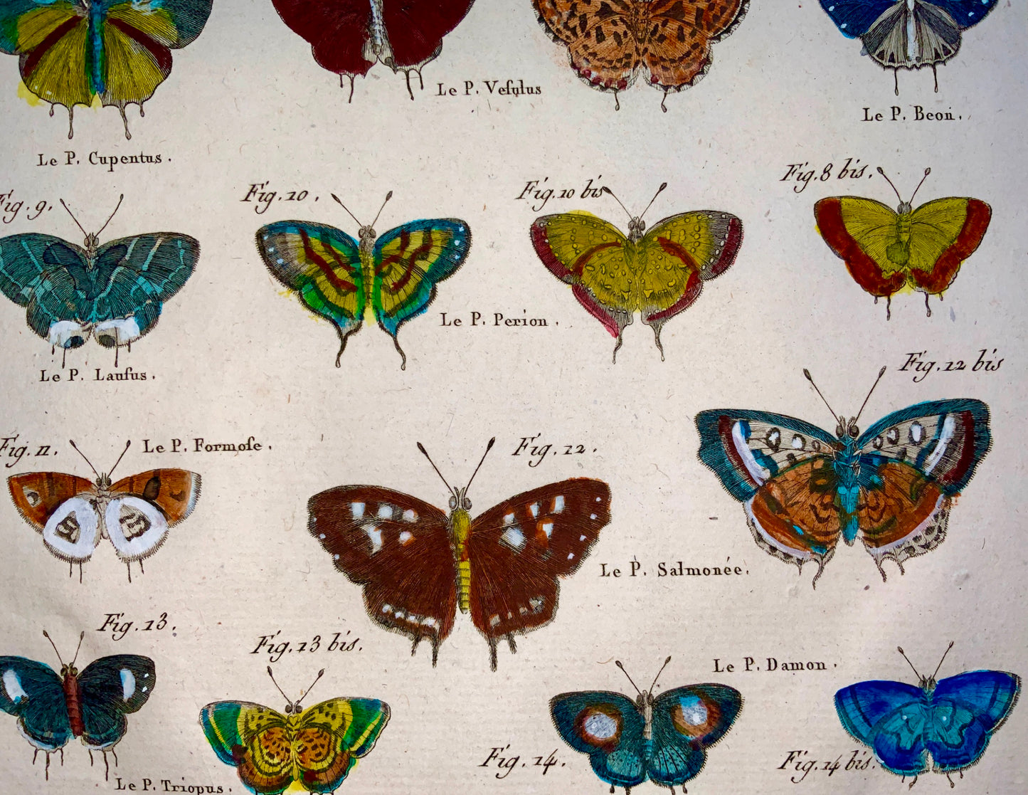 1794 Latreille; Handcol quarto copper engraving Butterflies ‘Plebeyens Nobles’