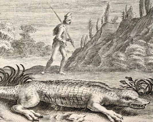 1618 Crocodile, "a diffident youth", Crispin van de Passe II, emblem, reptile