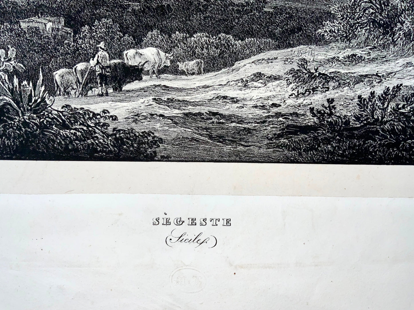 1833 Segesta Sicily, Muller & Horner, Ledoux sc., large stone lithograph