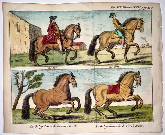 1752 C. Parro (after) - Le Pas Le Trot Le Galop - Cheval  EQUESTRIAN - engraving