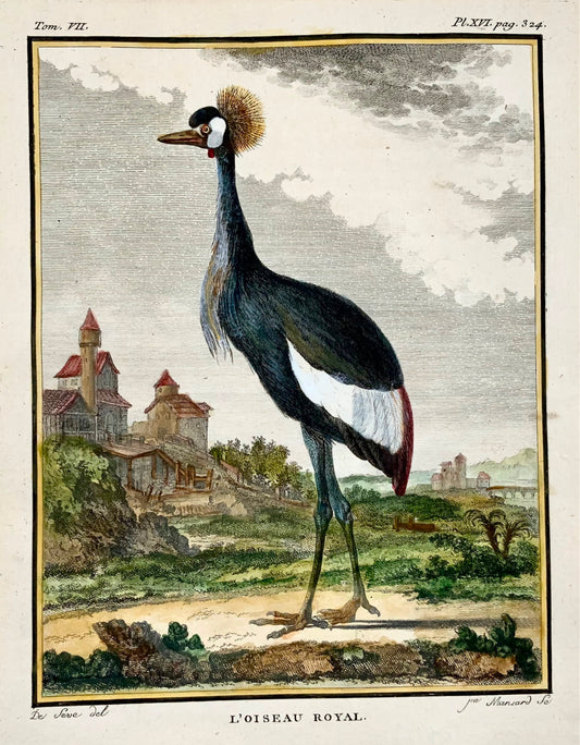 1779 de Seve - GRUE COURONNE Oiseau - Ornithologie - Gravure in-4 grande édition