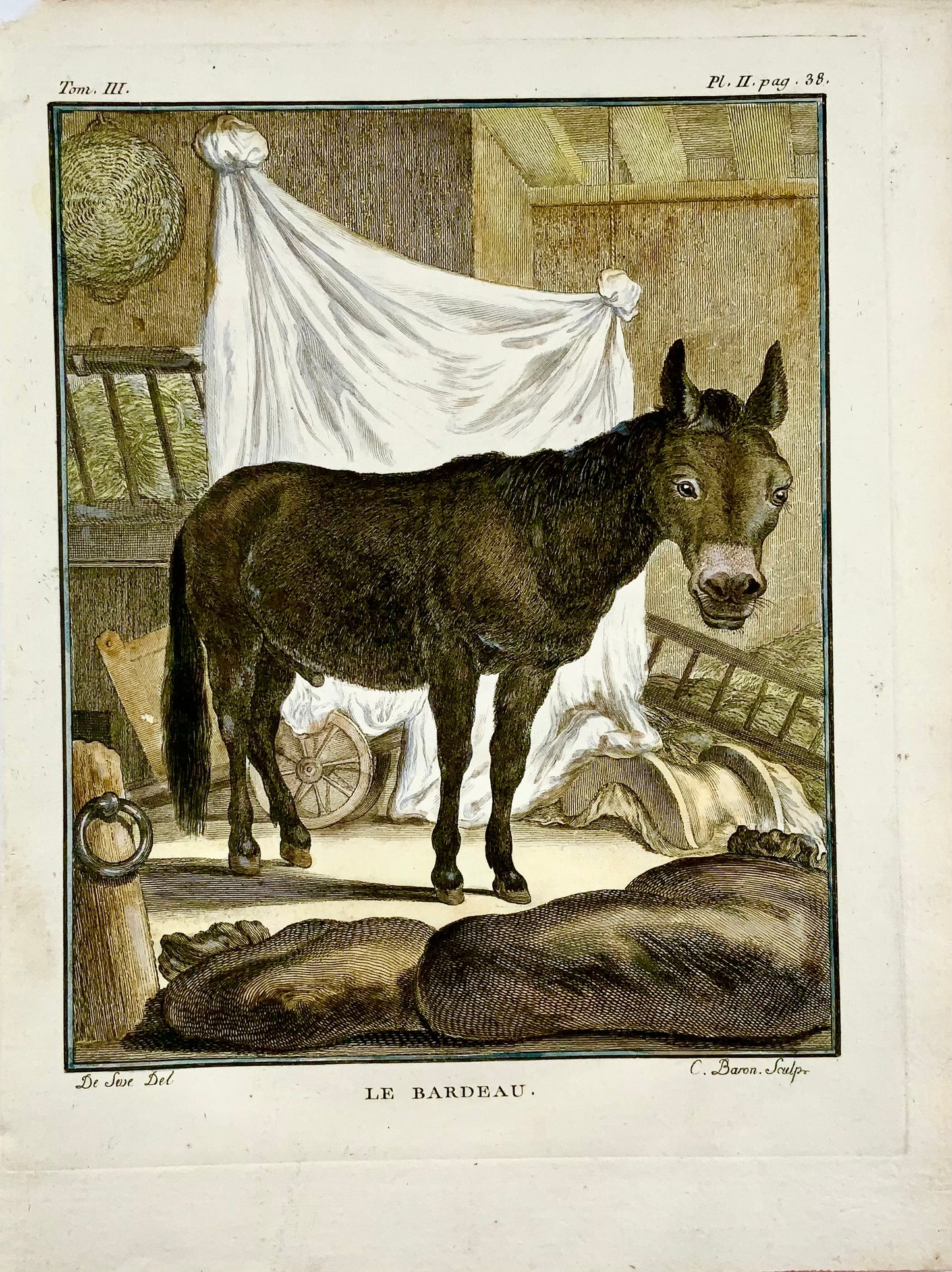 1766 De Seve; Bardeau Donkey large QUARTO edition hand colored engraving - Mammal