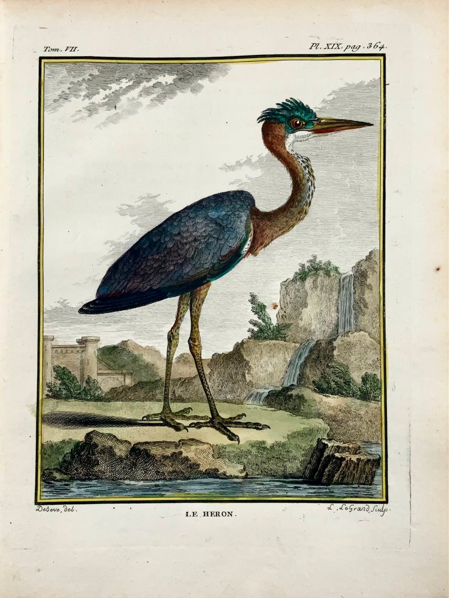 1779 Le Grand after de Seve, Heron, ornithology, large 4to edition, engraving