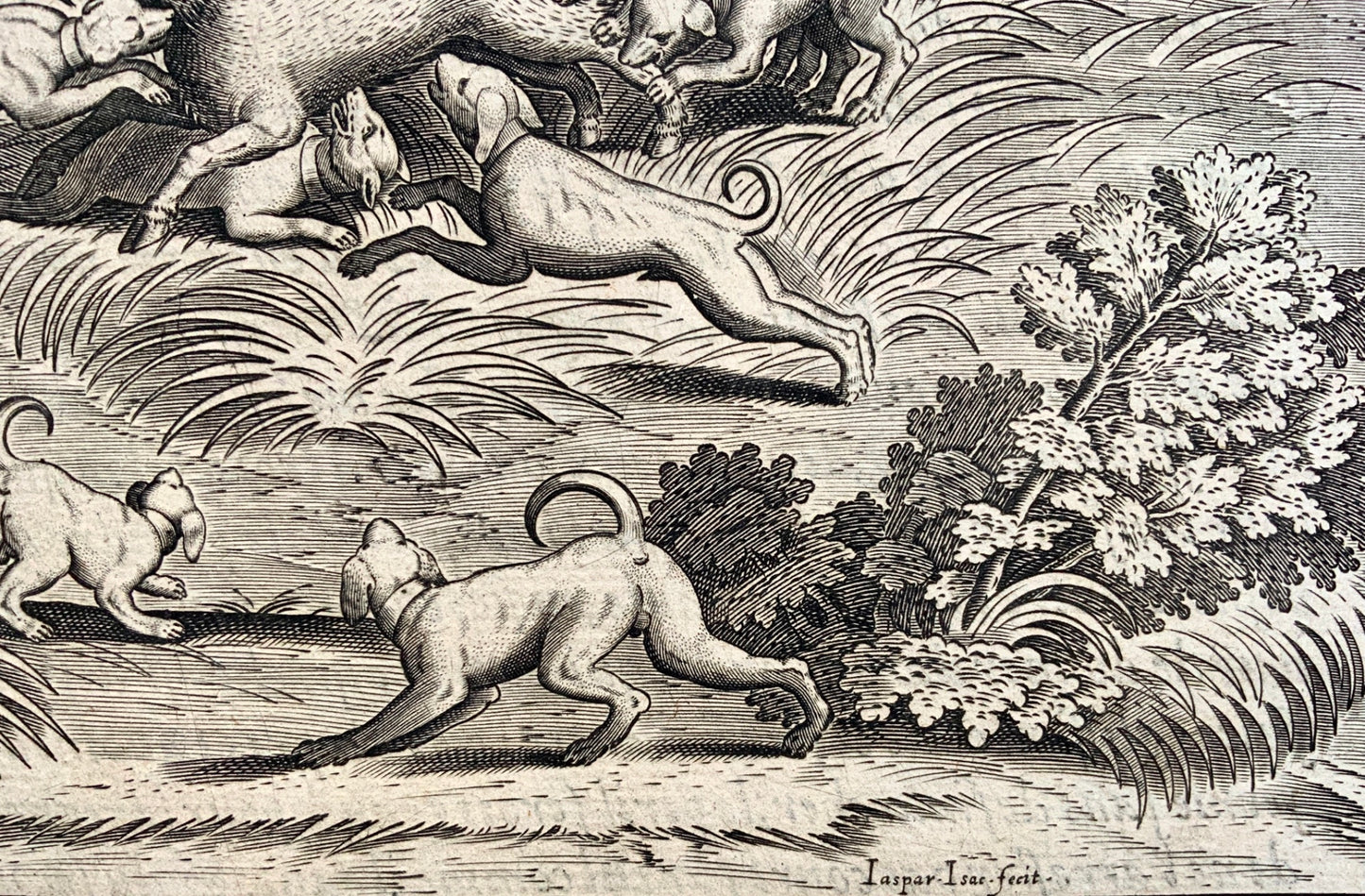 Antoine Caron (1521–1599); Jasper Isaacs - Folio - Chasse des Bestes - 1615 - Mythology