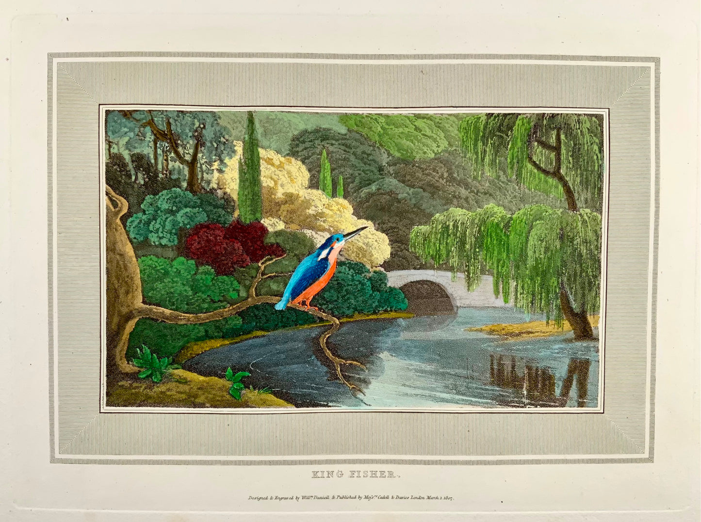 1807 William Daniell, Martin pescatore, ornitologia, acquatinta colorata a mano