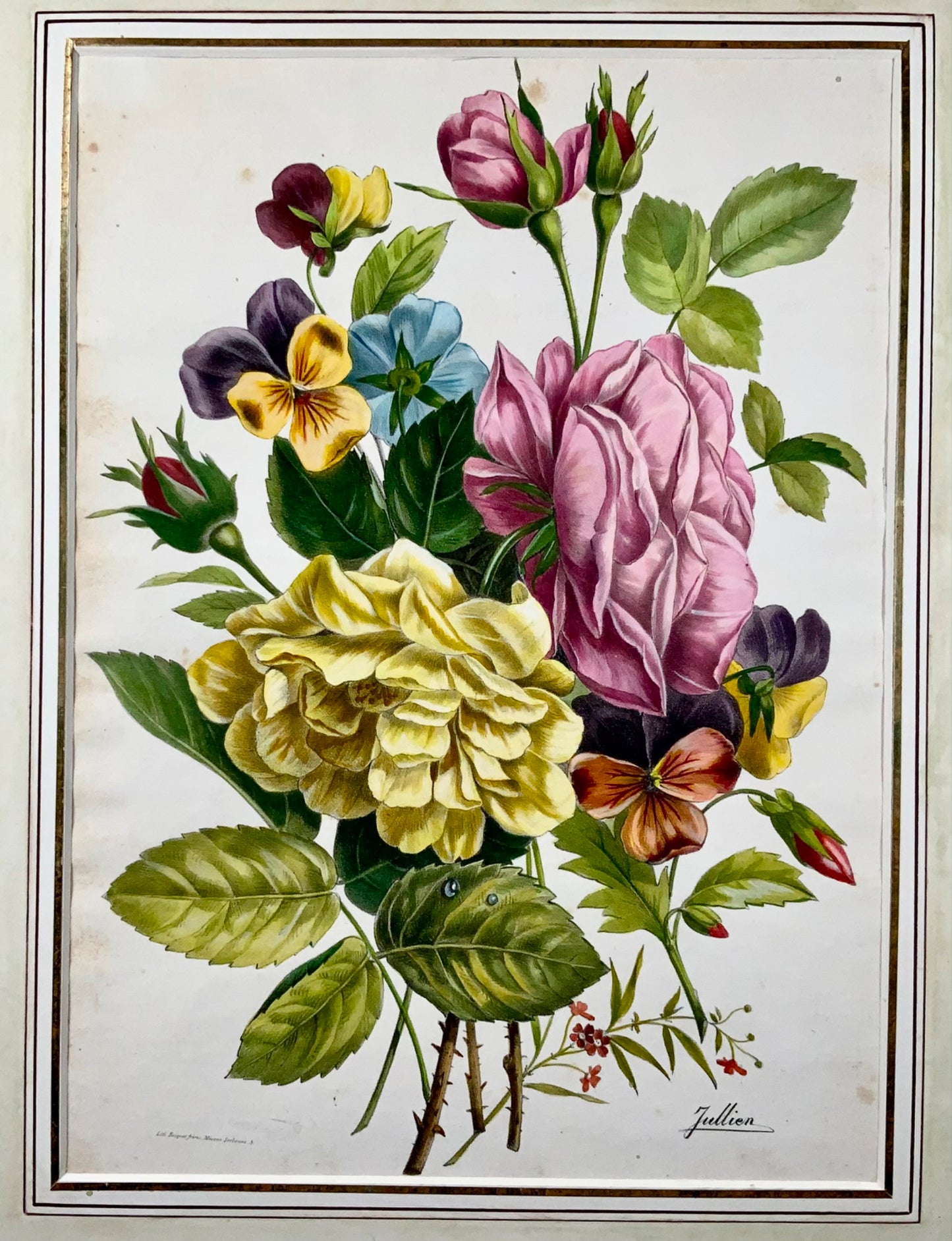 1840c Roses & Pansies, Jullien, Bequet, large stone lithograph hand coloured, botany