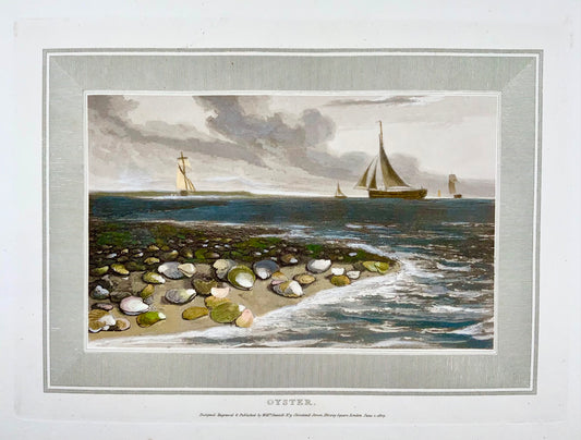 1809 William Daniell, Huîtres, marines, aquatinte colorée à la main, aquatique