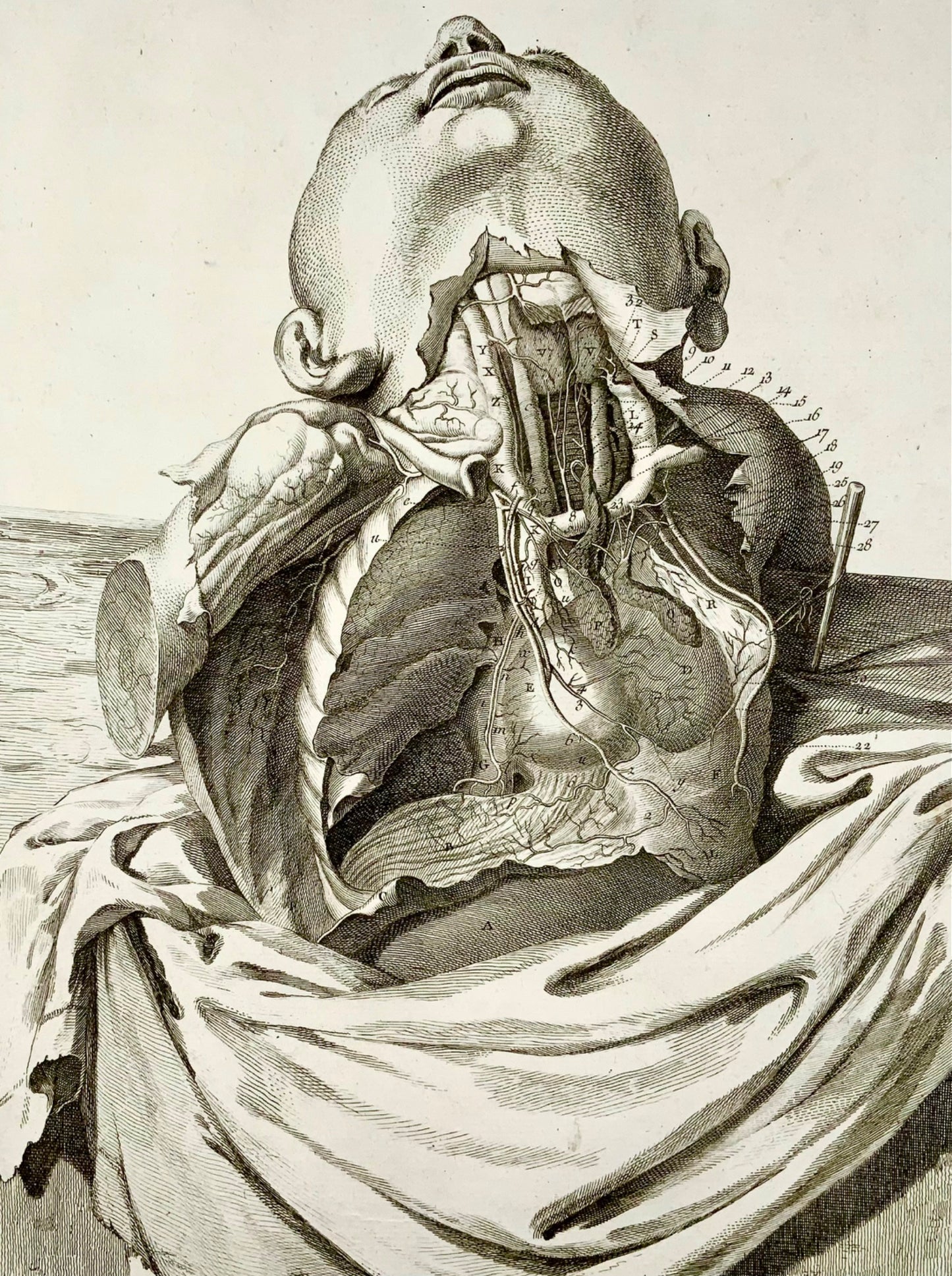 1777 Anatomy, after Haller, arteries of the thorax, tall folio