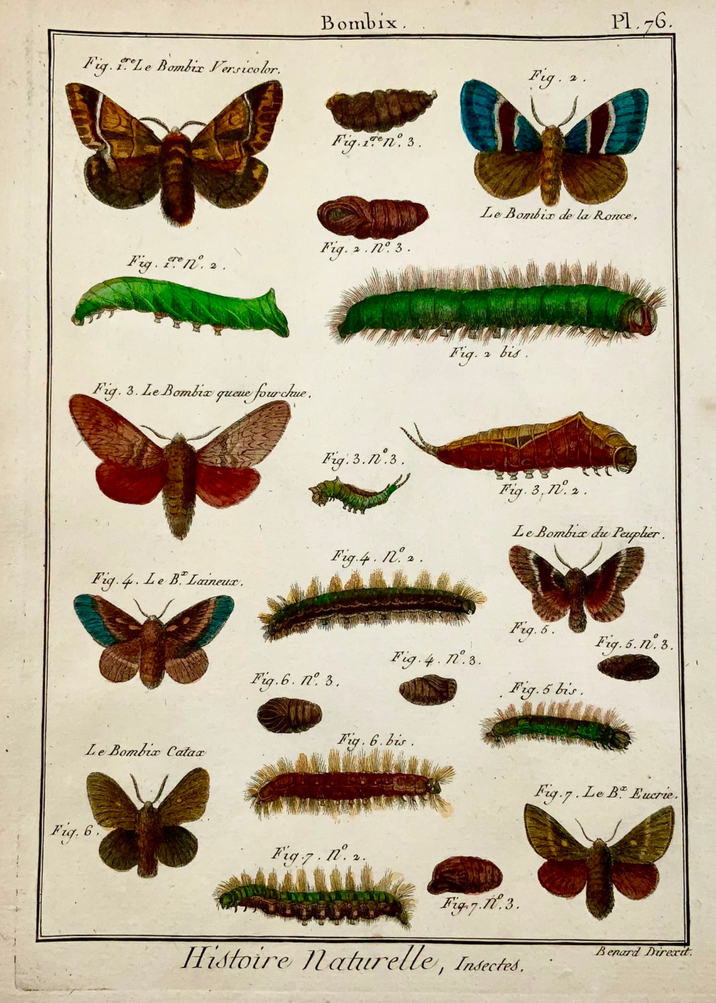1794 Latreille; Incisione su rame Handcol quarto Farfalle - Bombix
