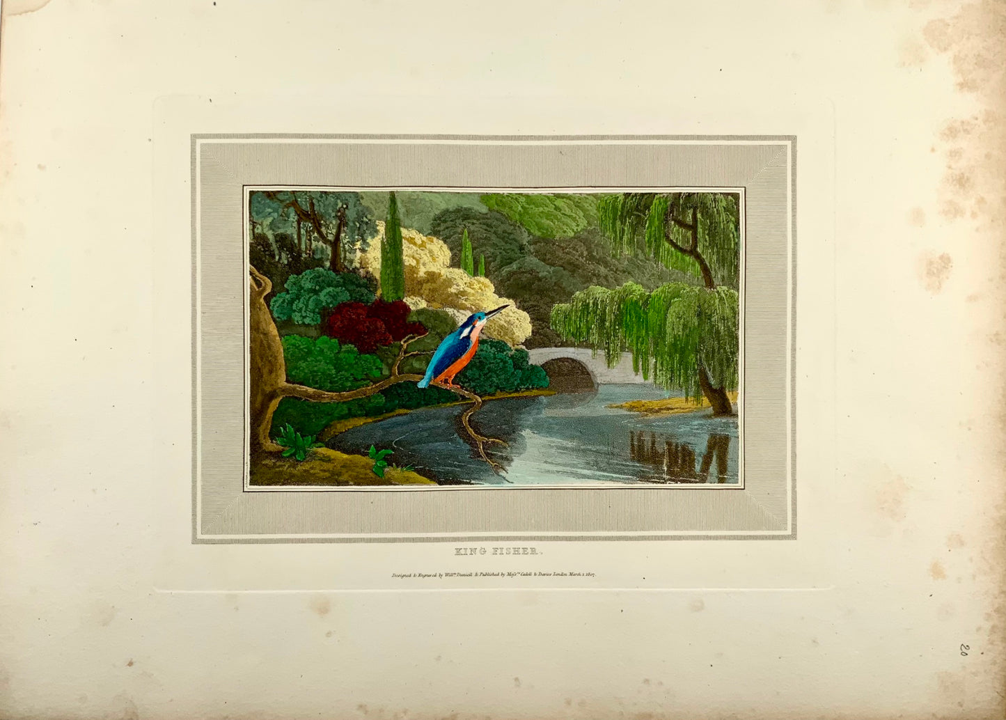 1807 William Daniell, Kingfisher, ornithology, hand coloured aquatint
