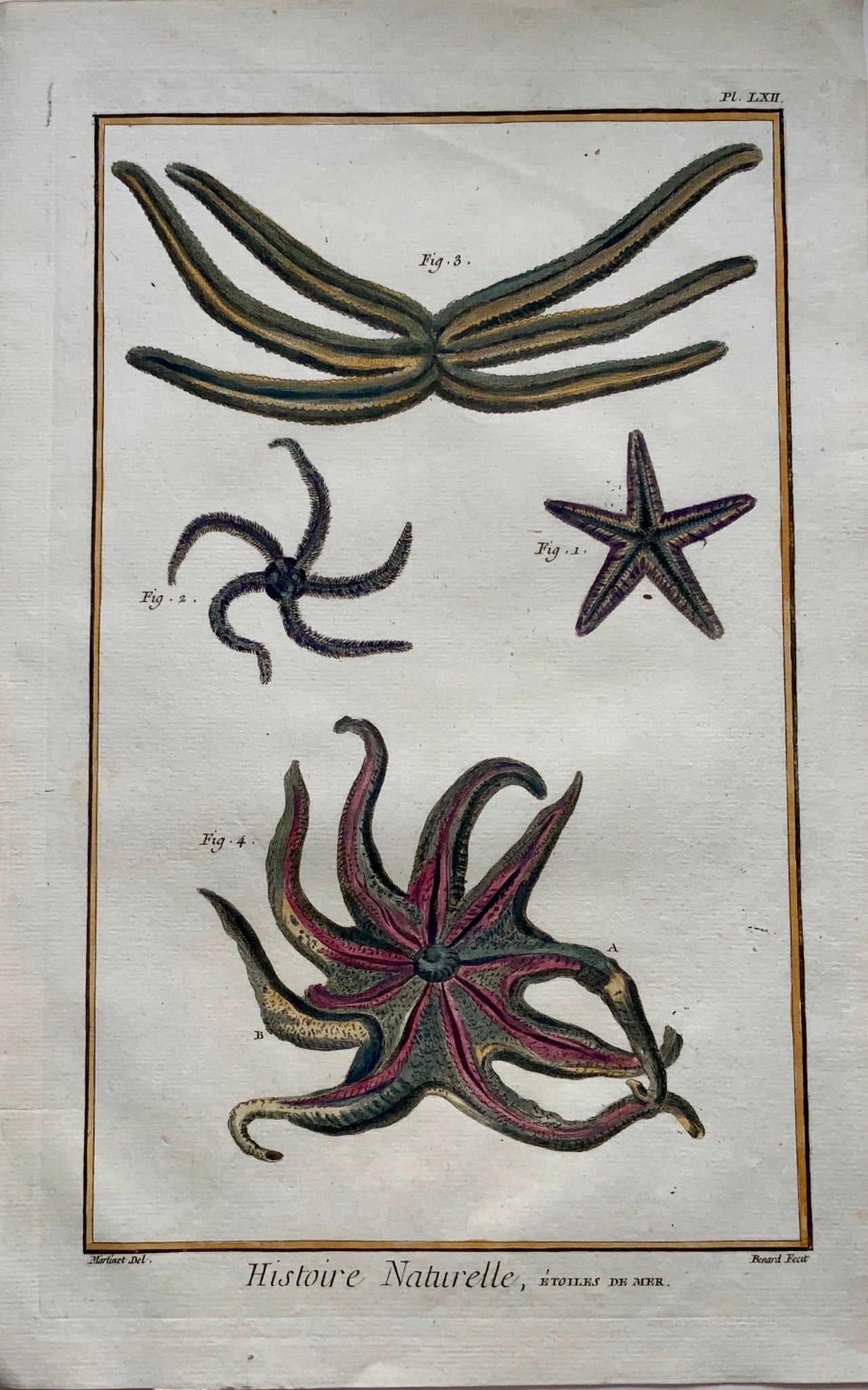 1780 Diderot SEA STARS STARFISH Aquatic Marine - hand coloured FOLIO engraving