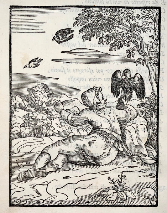 1570 Gio. M. Verdizzotti (b1525) Sparrowhawk & Pigeon, woodcut leaf, fables