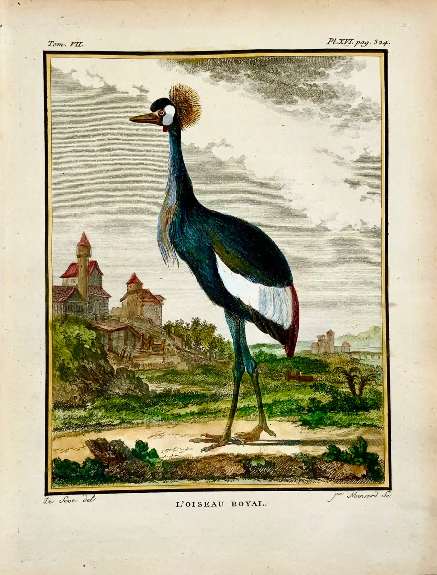 1779 de Seve - CROWNED CRANE Bird - Ornithology - 4to Large Edn engraving