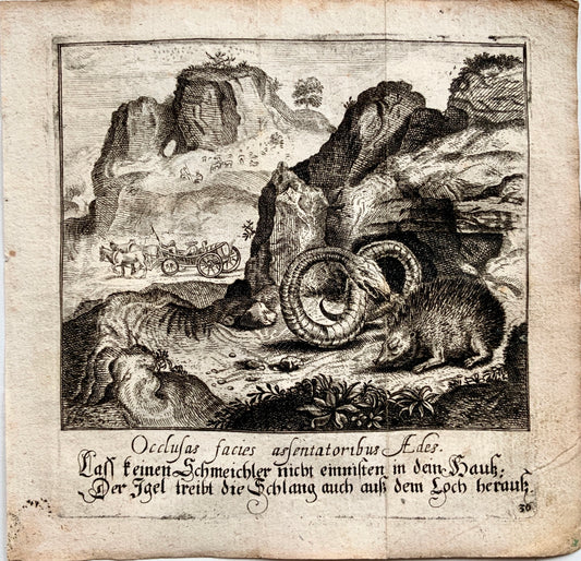 1689 Christoph Schmidts after Aeg. Sadeler FABLE Aesop - Snake & Hedgehog