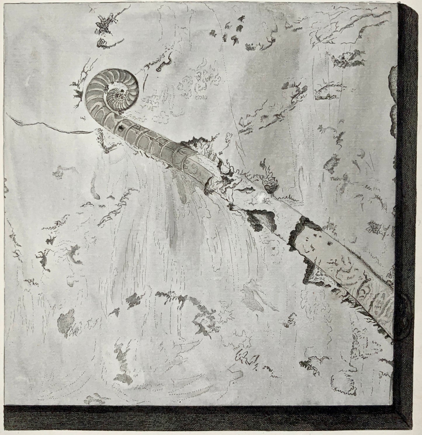 1764 G. W. Knorr (1705-1761); Large FOLIO Palaeontology Fossils Geology (IV)