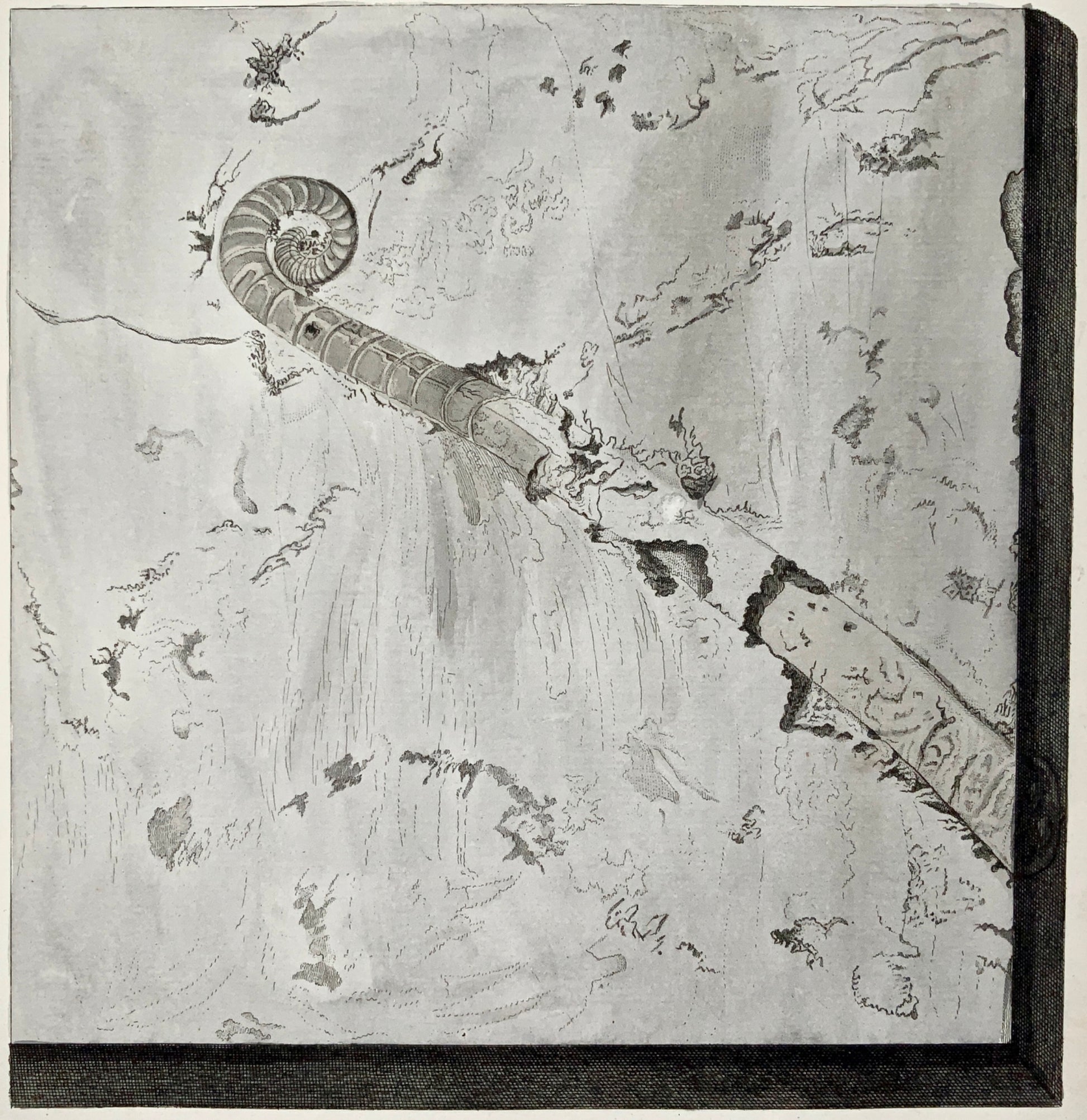 1764 G. W. Knorr (1705-1761); Large FOLIO Palaeontology Fossils Geology (IV)
