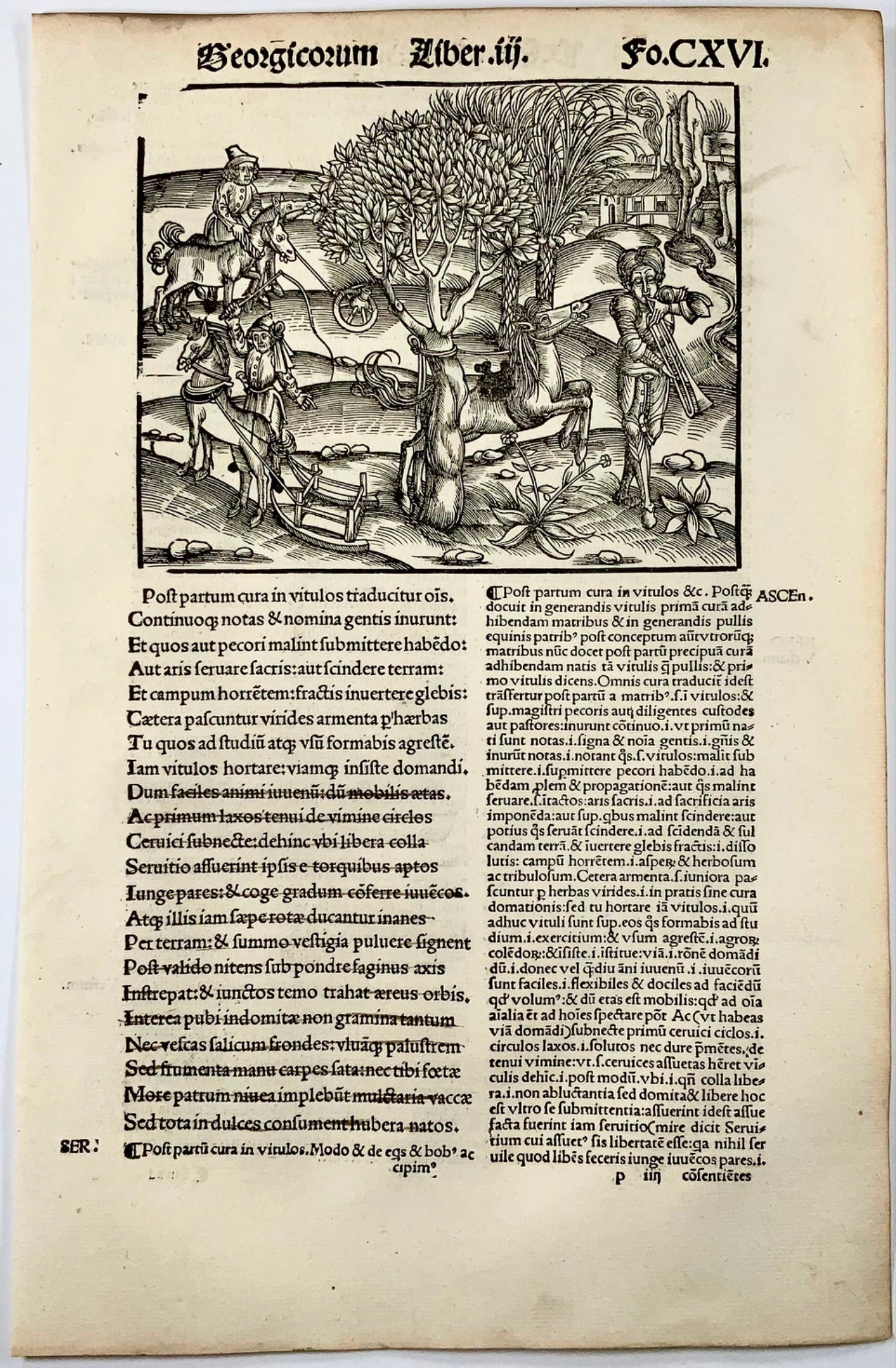 1502 Scena arcadica, tromba, xilografia incunabile, Georgiche di Virgilio, agricoltura