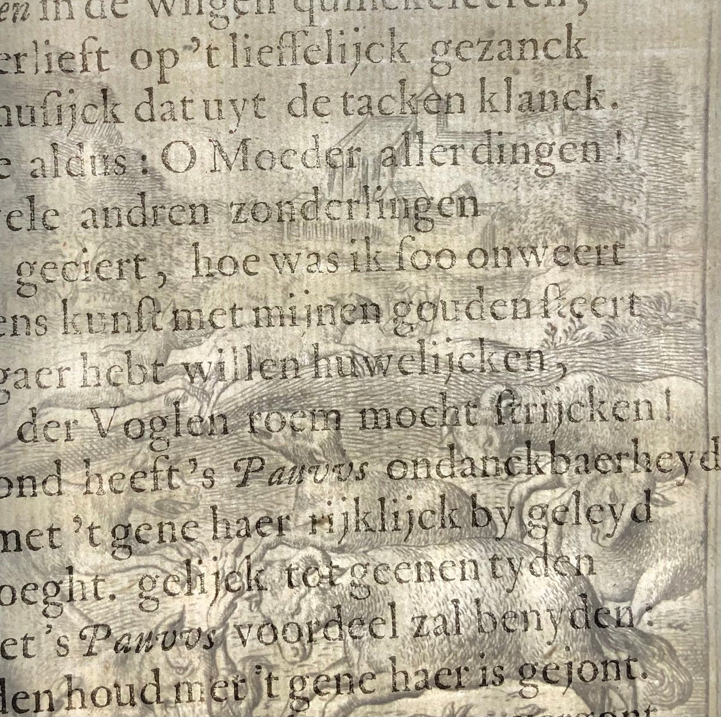 1617 Gheeraerts, incisione magistrale, Esopo: i lupi e le pecore, favola
