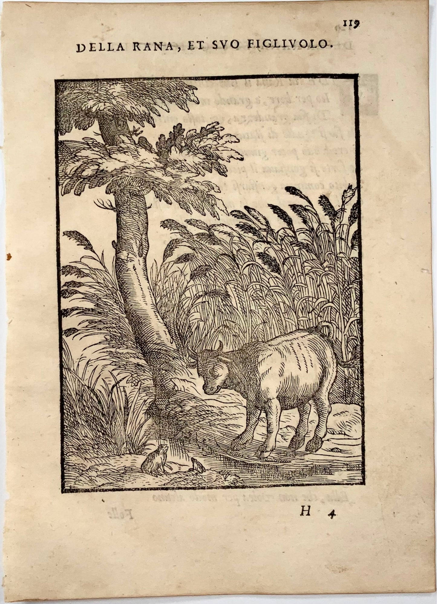1570 The Toad and the Calf, Verdizotti (b 1525), woodcut, fable, art