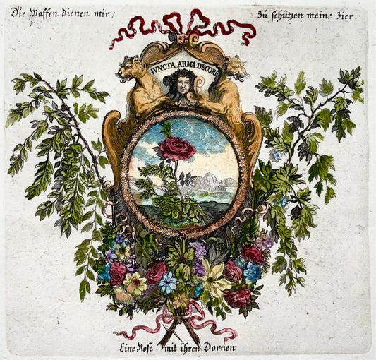 1679 Rose, bouquet, épines, Le Brun ; Le Clerc, allégorie, botanique