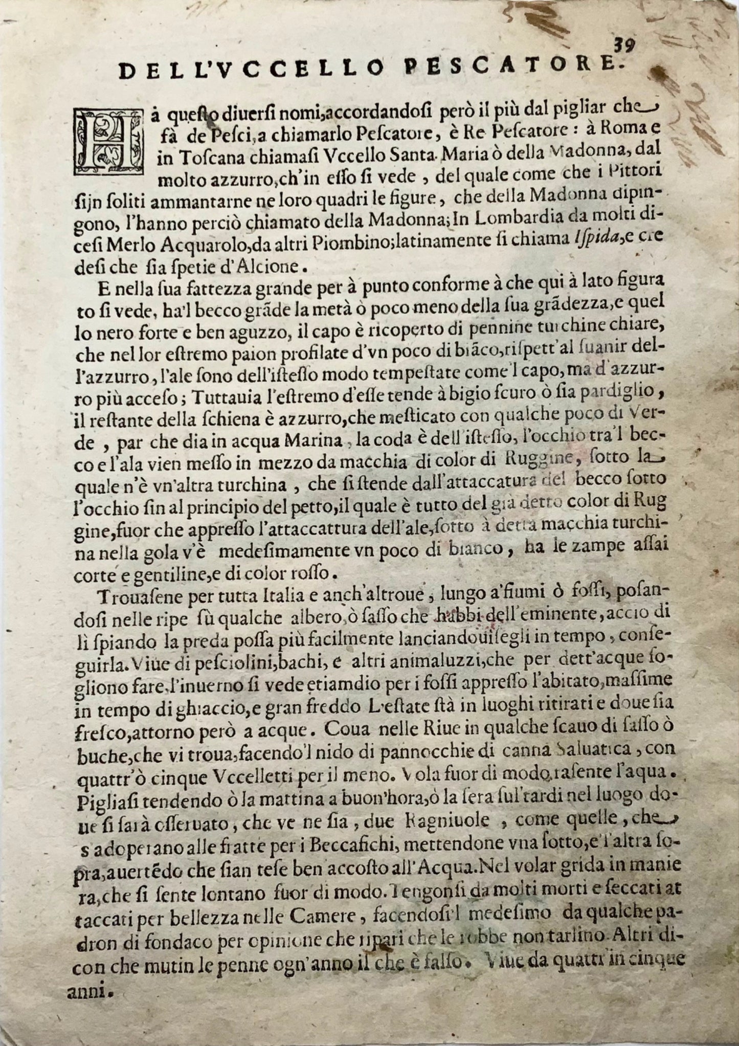 1622 Bouvreuil, Ornithologie, Fourmi. Tempête ; F. Villamena, Maître Gravure 