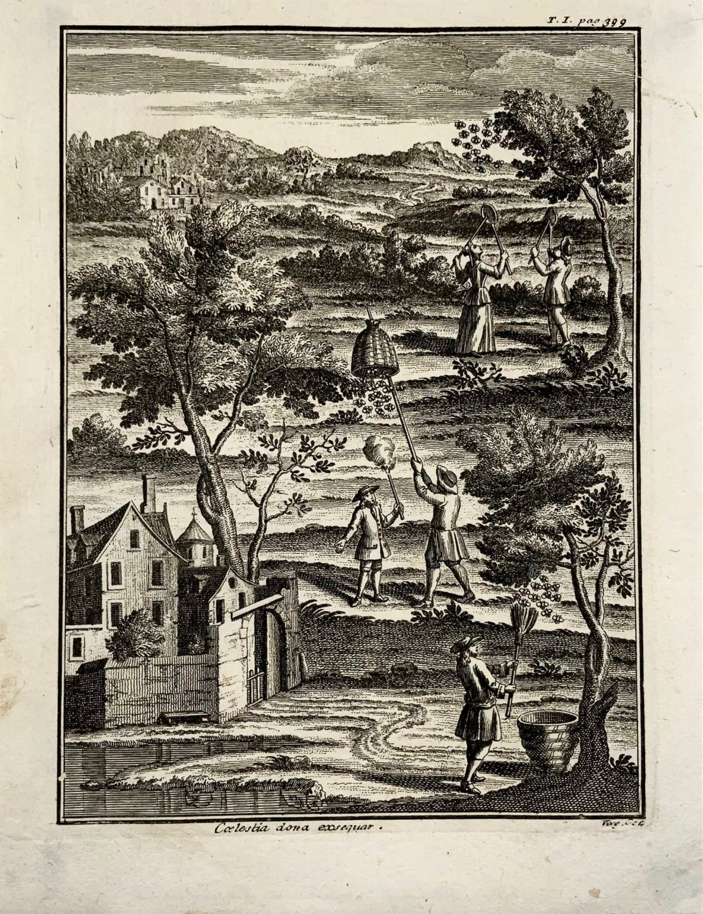 1730c Apicoltura, alveari, rara incisione in quarto, agricoltura, primo stato
