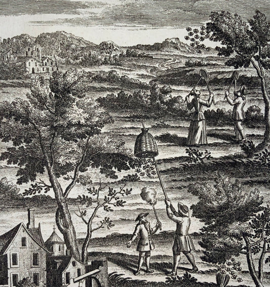 1730c Apicoltura, alveari, rara incisione in quarto, agricoltura, primo stato