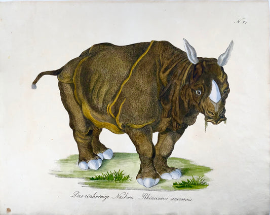 1816 Rhinoceros, Imp. folio 42.5 cm, stone lithograph incunabula, hand colour